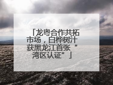 龙粤合作共拓市场，白桦树汁获黑龙江首张“湾区认证”