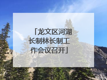 龙文区河湖长制林长制工作会议召开