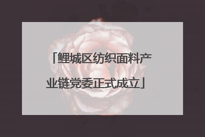 鲤城区纺织面料产业链党委正式成立