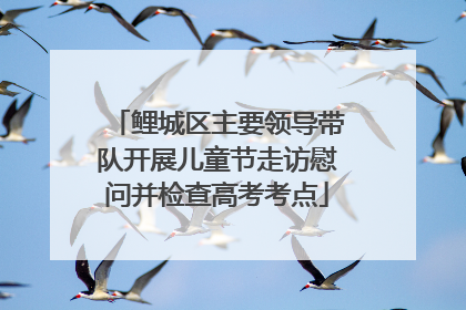 鲤城区主要领导带队开展儿童节走访慰问并检查高考考点