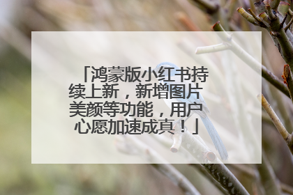 鸿蒙版小红书持续上新，新增图片美颜等功能，用户心愿加速成真！