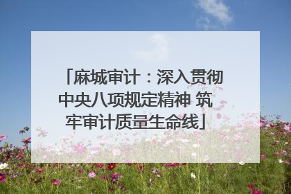 麻城审计：深入贯彻中央八项规定精神 筑牢审计质量生命线