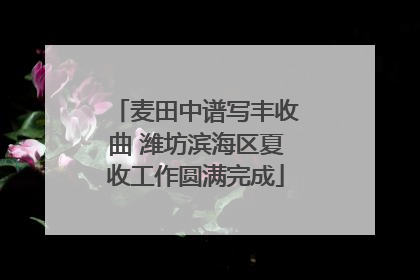 麦田中谱写丰收曲 潍坊滨海区夏收工作圆满完成