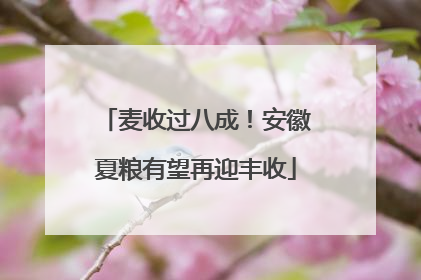 麦收过八成！安徽夏粮有望再迎丰收