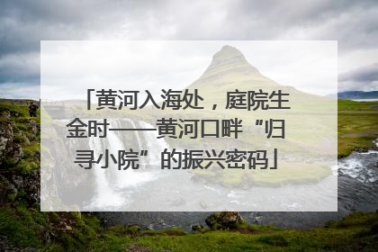 黄河入海处，庭院生金时——黄河口畔“归寻小院”的振兴密码