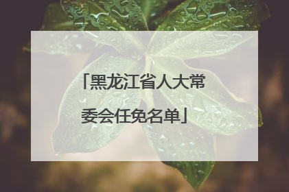 黑龙江省人大常委会任免名单