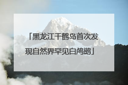 黑龙江千鹤岛首次发现自然界罕见白鸬鹚