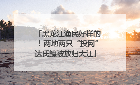 黑龙江渔民好样的！两地两只“投网”达氏鳇被放归大江