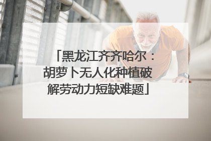 黑龙江齐齐哈尔：胡萝卜无人化种植破解劳动力短缺难题