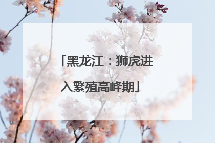 黑龙江：狮虎进入繁殖高峰期