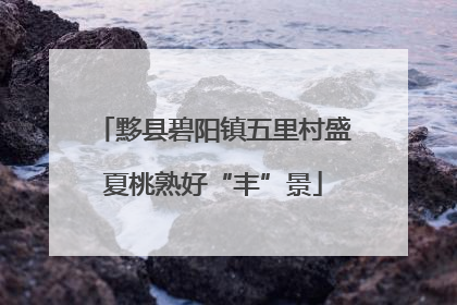 黟县碧阳镇五里村盛夏桃熟好“丰”景