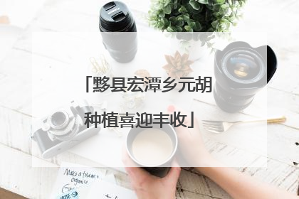 黟县宏潭乡元胡种植喜迎丰收