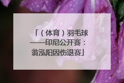 （体育）羽毛球——印尼公开赛：翁泓阳因伤退赛
