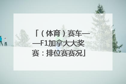（体育）赛车——F1加拿大大奖赛：排位赛赛况