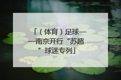（体育）足球——南京开行“苏超”球迷专列