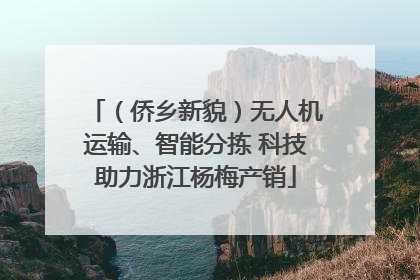 （侨乡新貌）无人机运输、智能分拣 科技助力浙江杨梅产销