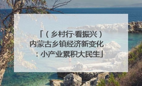 （乡村行·看振兴）内蒙古乡镇经济新变化：小产业累积大民生