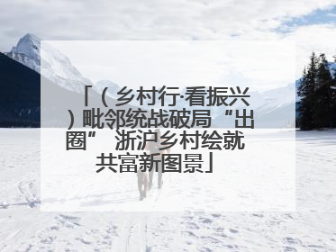 （乡村行·看振兴）毗邻统战破局“出圈” 浙沪乡村绘就共富新图景