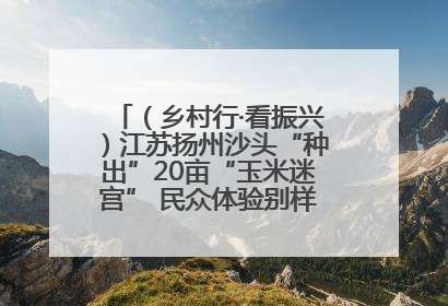 （乡村行·看振兴）江苏扬州沙头“种出”20亩“玉米迷宫” 民众体验别样“田园乐趣”