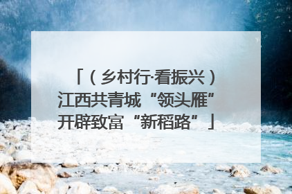 （乡村行·看振兴）江西共青城“领头雁”开辟致富“新稻路”