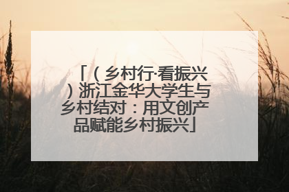 （乡村行·看振兴）浙江金华大学生与乡村结对：用文创产品赋能乡村振兴