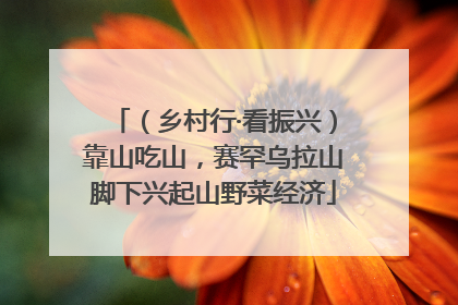 （乡村行·看振兴）靠山吃山，赛罕乌拉山脚下兴起山野菜经济