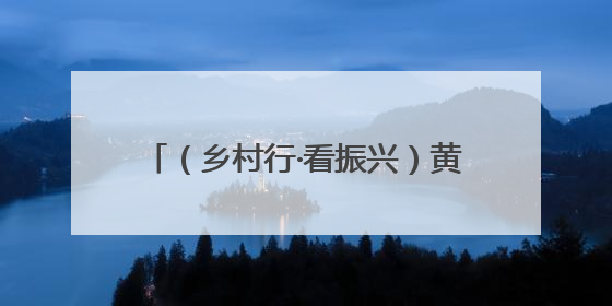 （乡村行·看振兴）黄河渔村玩转“渔文旅”：耕稼陶渔里的乡野生活