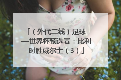（外代二线）足球——世界杯预选赛：比利时胜威尔士（3）
