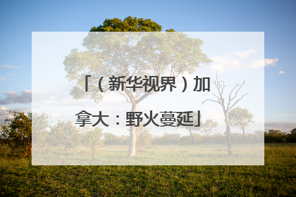 （新华视界）加拿大：野火蔓延