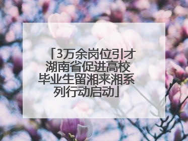 3万余岗位引才 湖南省促进高校毕业生留湘来湘系列行动启动