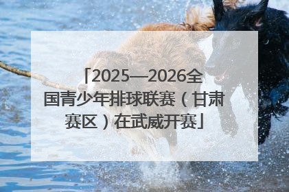 2025—2026全国青少年排球联赛（甘肃赛区）在武威开赛
