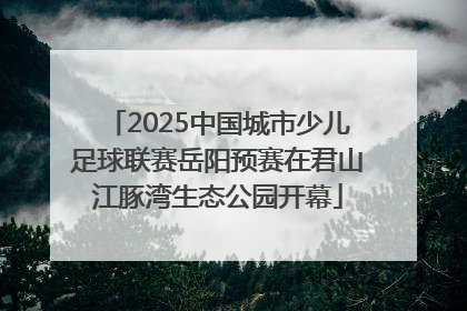 2025中国城市少儿足球联赛岳阳预赛在君山江豚湾生态公园开幕