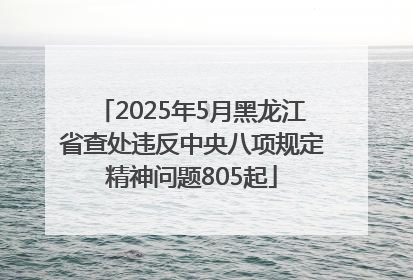 2025年5月黑龙江省查处违反中央八项规定精神问题805起
