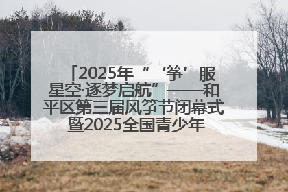 2025年“‘筝’服星空·逐梦启航”——和平区第三届风筝节闭幕式 暨2025全国青少年风筝制作放飞赛（沈阳站）颁奖仪式