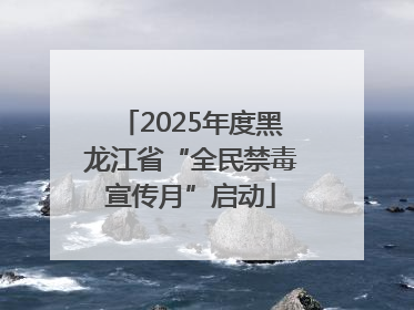 2025年度黑龙江省“全民禁毒宣传月”启动
