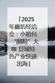 2025年廊坊经洽会：小箱包“圈粉”大咖 县域特色产业快速出海