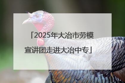 2025年大冶市劳模宣讲团走进大冶中专