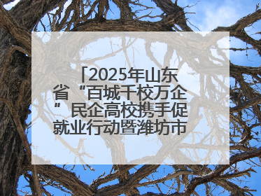 2025年山东省“百城千校万企”民企高校携手促就业行动暨潍坊市职教活动周启动