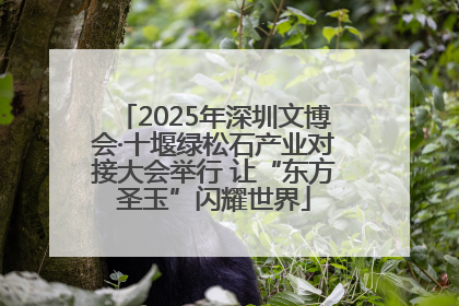 2025年深圳文博会·十堰绿松石产业对接大会举行 让“东方圣玉”闪耀世界