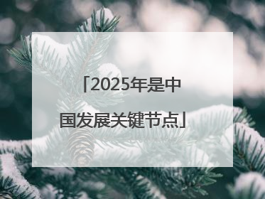 2025年是中国发展关键节点