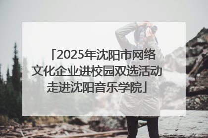2025年沈阳市网络文化企业进校园双选活动走进沈阳音乐学院
