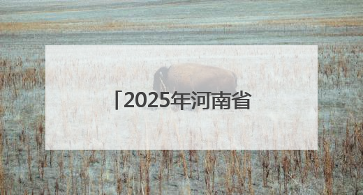 2025年河南省总河长会议暨防汛备汛调度会召开