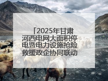 2025年甘肃河西电网大面积停电暨电力设施抢险救援政企协同联动综合应急演练在武威成功举行