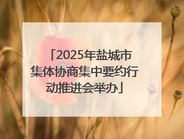 2025年盐城市集体协商集中要约行动推进会举办