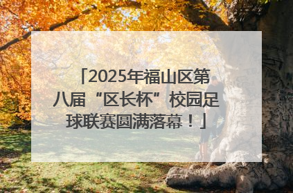 2025年福山区第八届“区长杯”校园足球联赛圆满落幕！