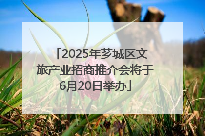 2025年芗城区文旅产业招商推介会将于6月20日举办