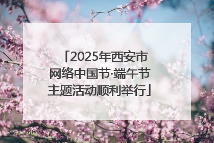 2025年西安市网络中国节·端午节主题活动顺利举行