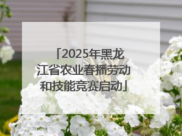 2025年黑龙江省农业春播劳动和技能竞赛启动
