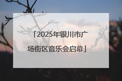 2025年银川市广场街区音乐会启幕