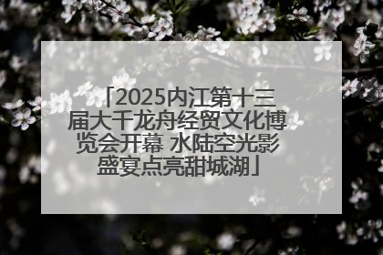 2025内江第十三届大千龙舟经贸文化博览会开幕 水陆空光影盛宴点亮甜城湖